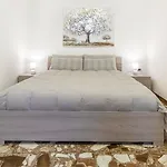 Piazza Santa Maria - Comfort & Relax *